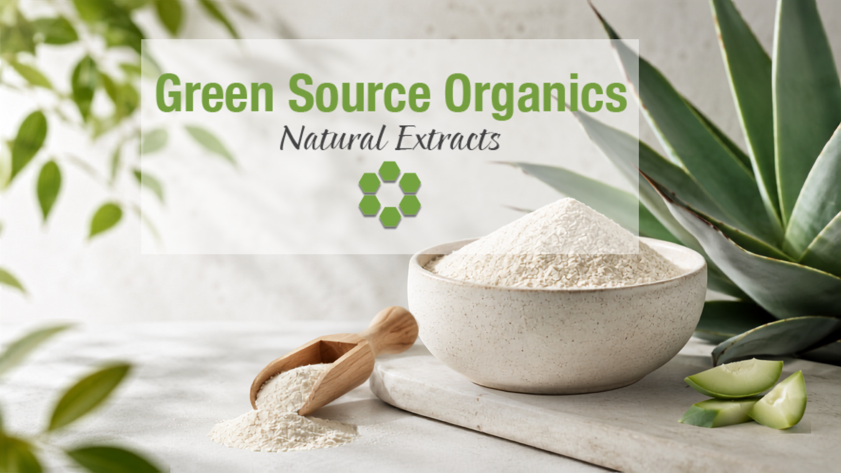 Organic Agave Inulin powder with agave plant for clean-label food, beverage, nutraceutical, and pet nutrition formulations.