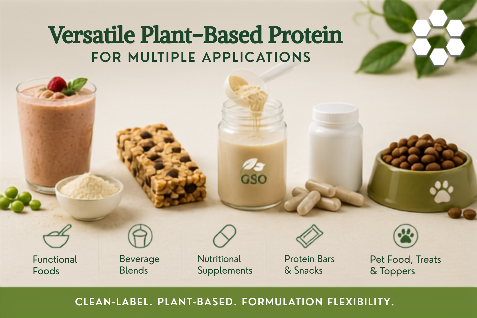 Plant-based protein powder applications for food, beverage, nutraceutical, and pet nutrition products.