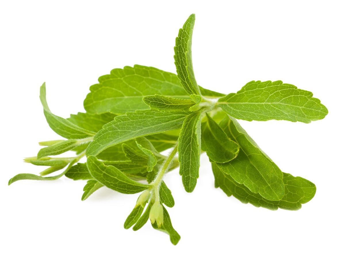 Stevia Leaf_O_Whole_Food.jpg