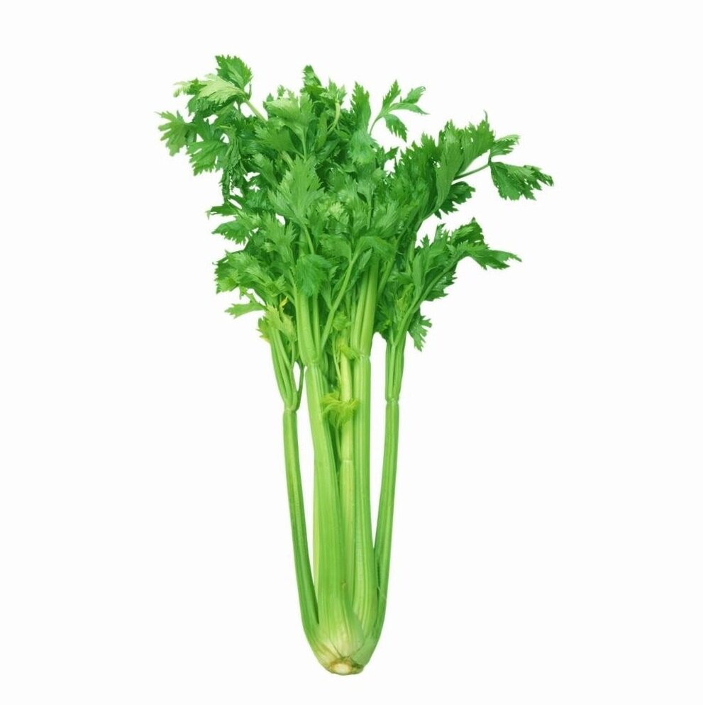 Celery.jpg