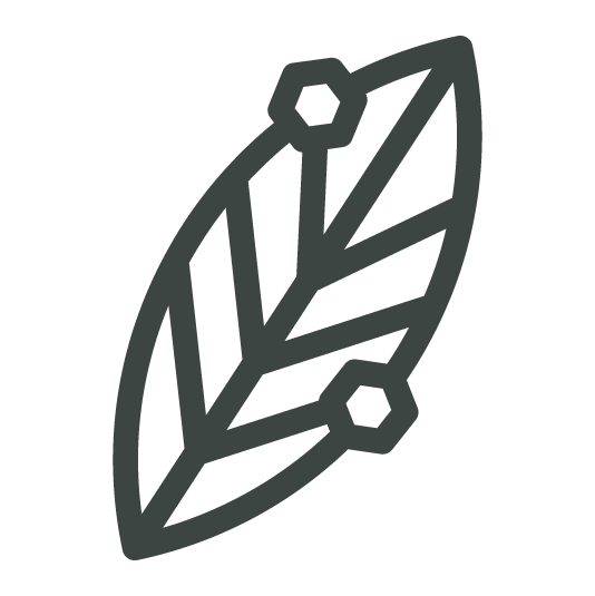 Fiber