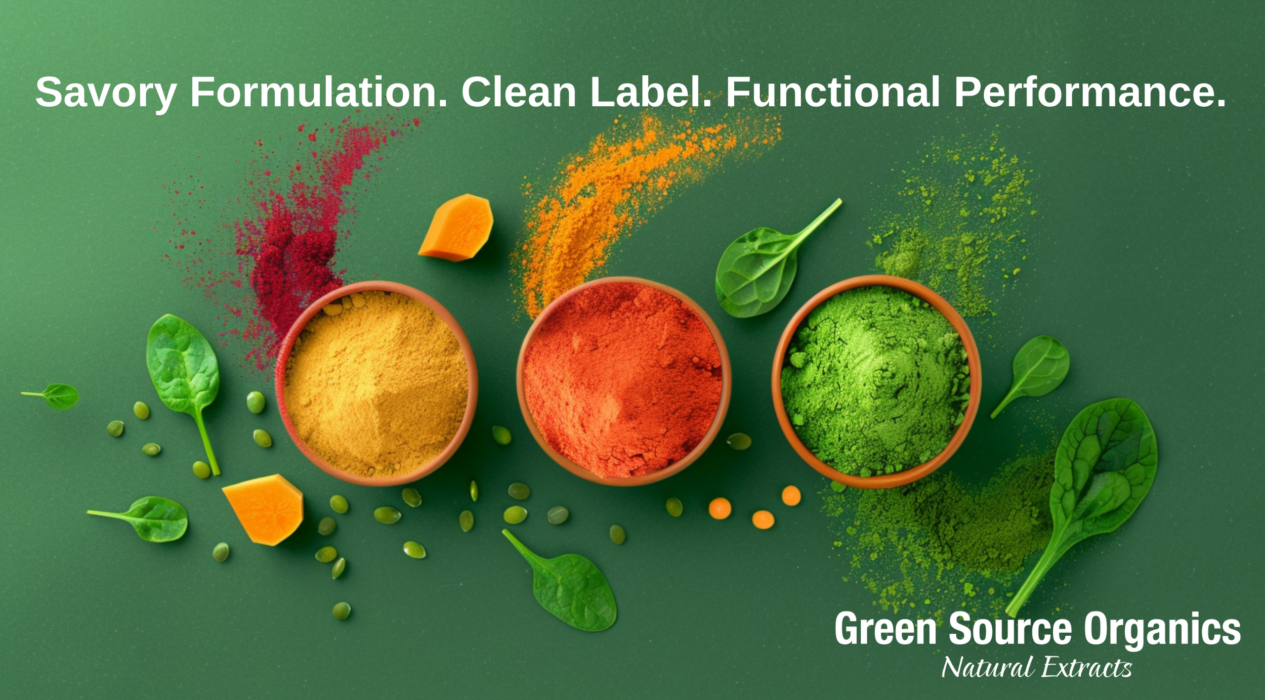 Vegetable Powders for Savory Functional Applications