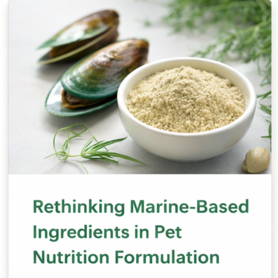 Rethinking Marine-Based Ingredients in Pet Nutrition FormulationS