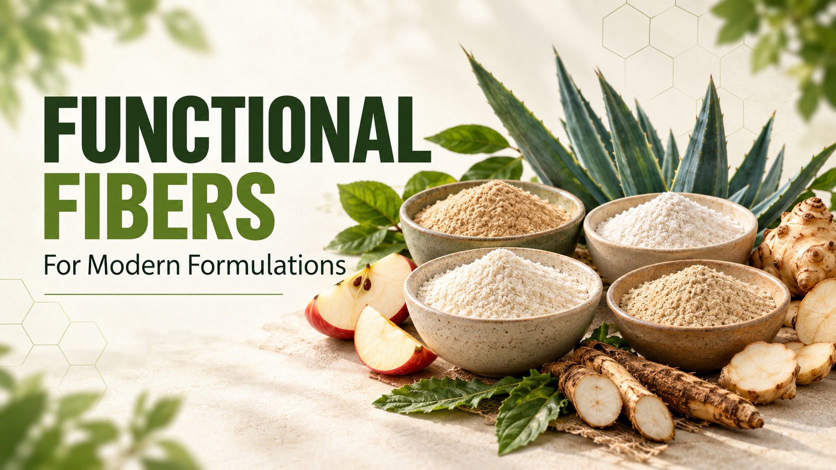 &nbsp;&nbsp;Functional Fibers for Modern Formulations