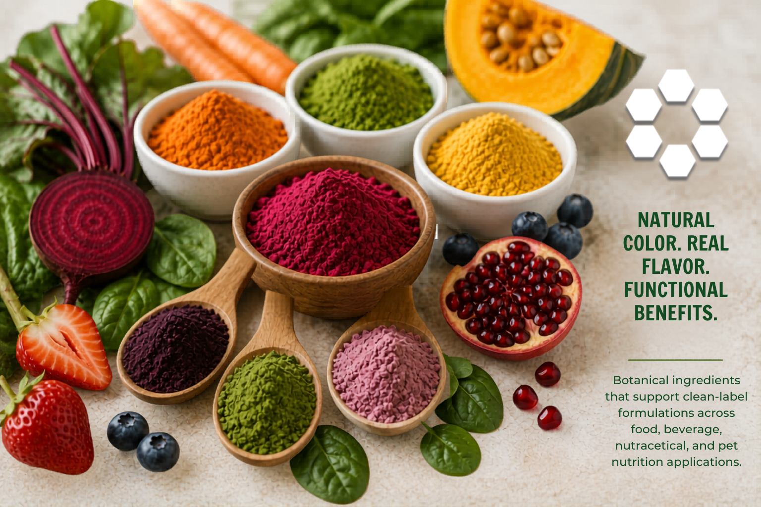 Fruit and vegetable powders for functional food and nutraceutical product development