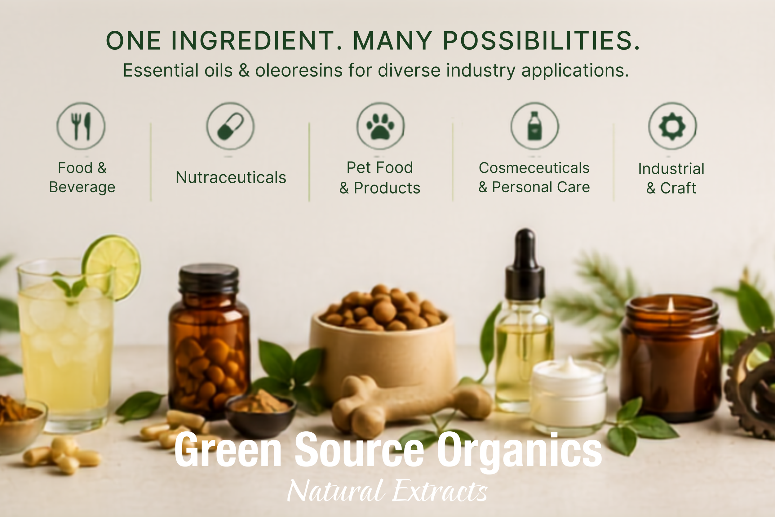 Bulk Ginger Essential Oil supplier for natural flavor and aroma product development.