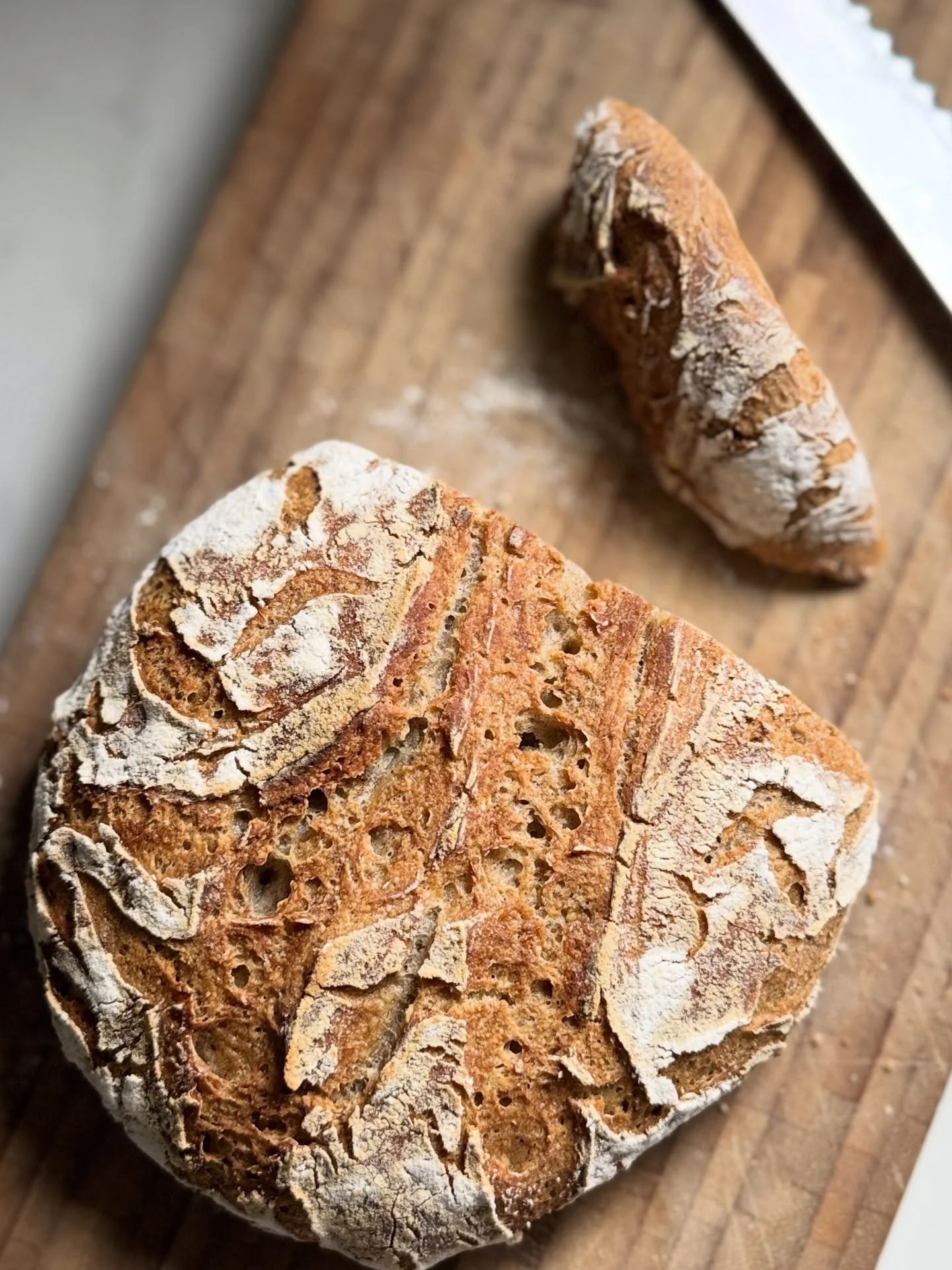Well, it looks like I am back on the homemade gluten-free, vegan, sourdough bread train again. 😂 Last time I had sourdough take over my kitchen was during the pandemic&hellip; So it&rsquo;s been a few years. But this easy little loaf came out delici