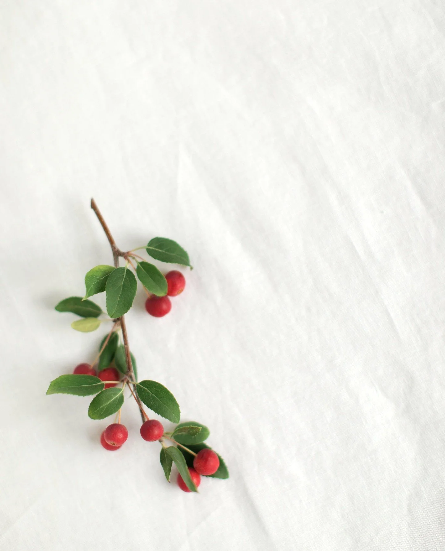 Wishing you a day filled with joy, a season filled with peace and a life filled with happiness...today and always. ⁠
⁠
Merry Christmas to each of you today!⁠
⁠
I am forever grateful for your trust and support all these years, and will continue to str