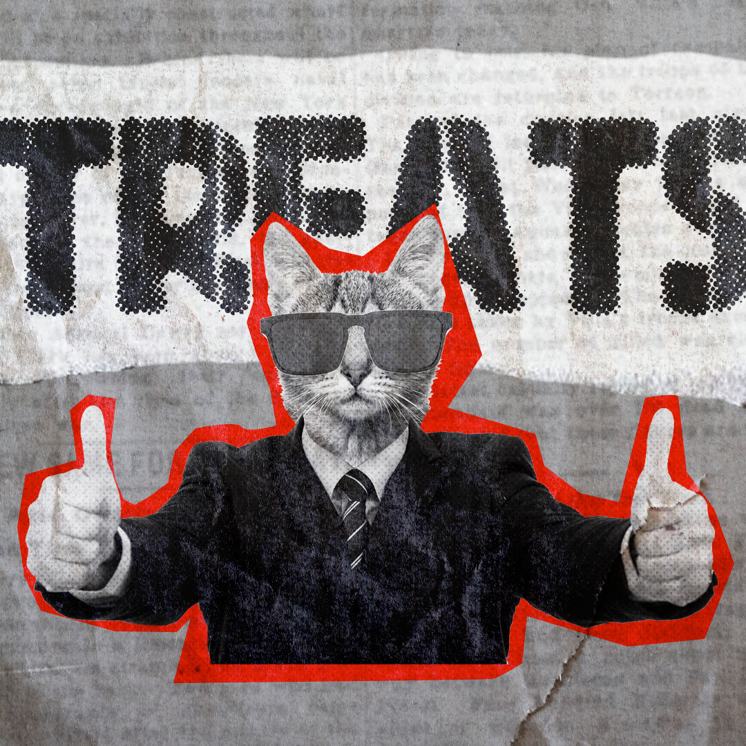 Corporate-Cat.jpeg