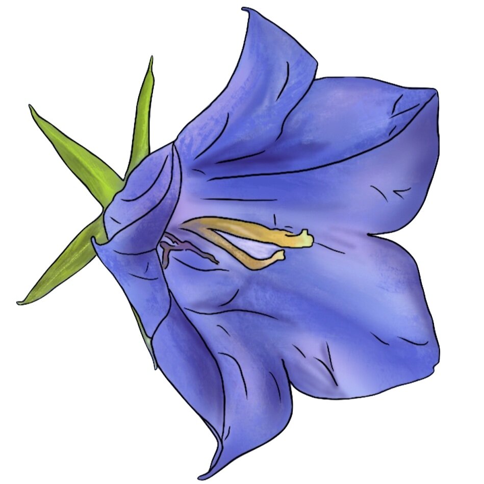 2ee40abd-55cf-4c15-ad92-f6e7b8c04e27.jpg
