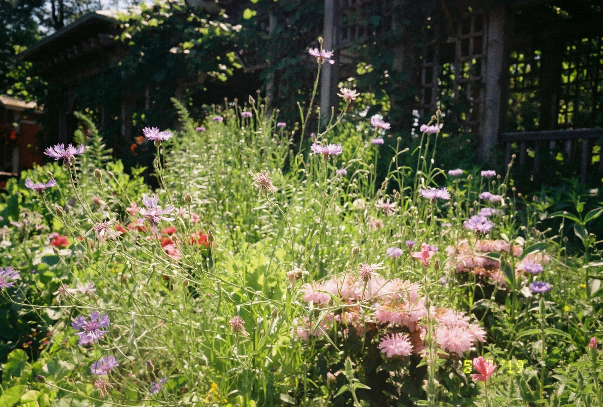 R1-00791-028A.jpg