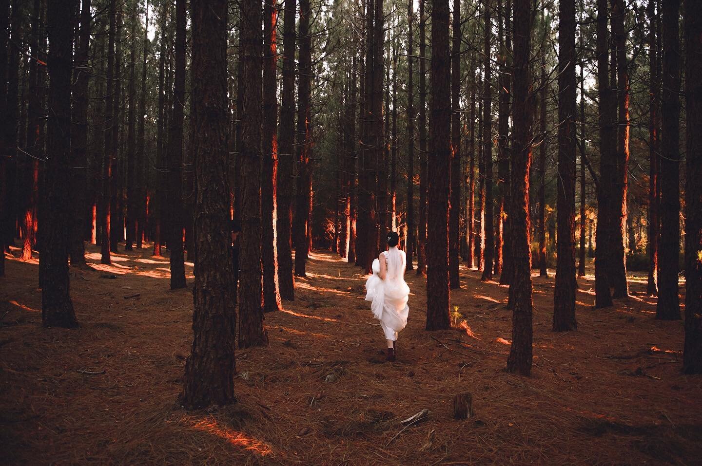 Last Light 👌

#adelaideweddingphotographer #weddingphoto #sawedding #barossawedding #barossavalley #barossaweddingphotography #weddings #photography #bride #groom