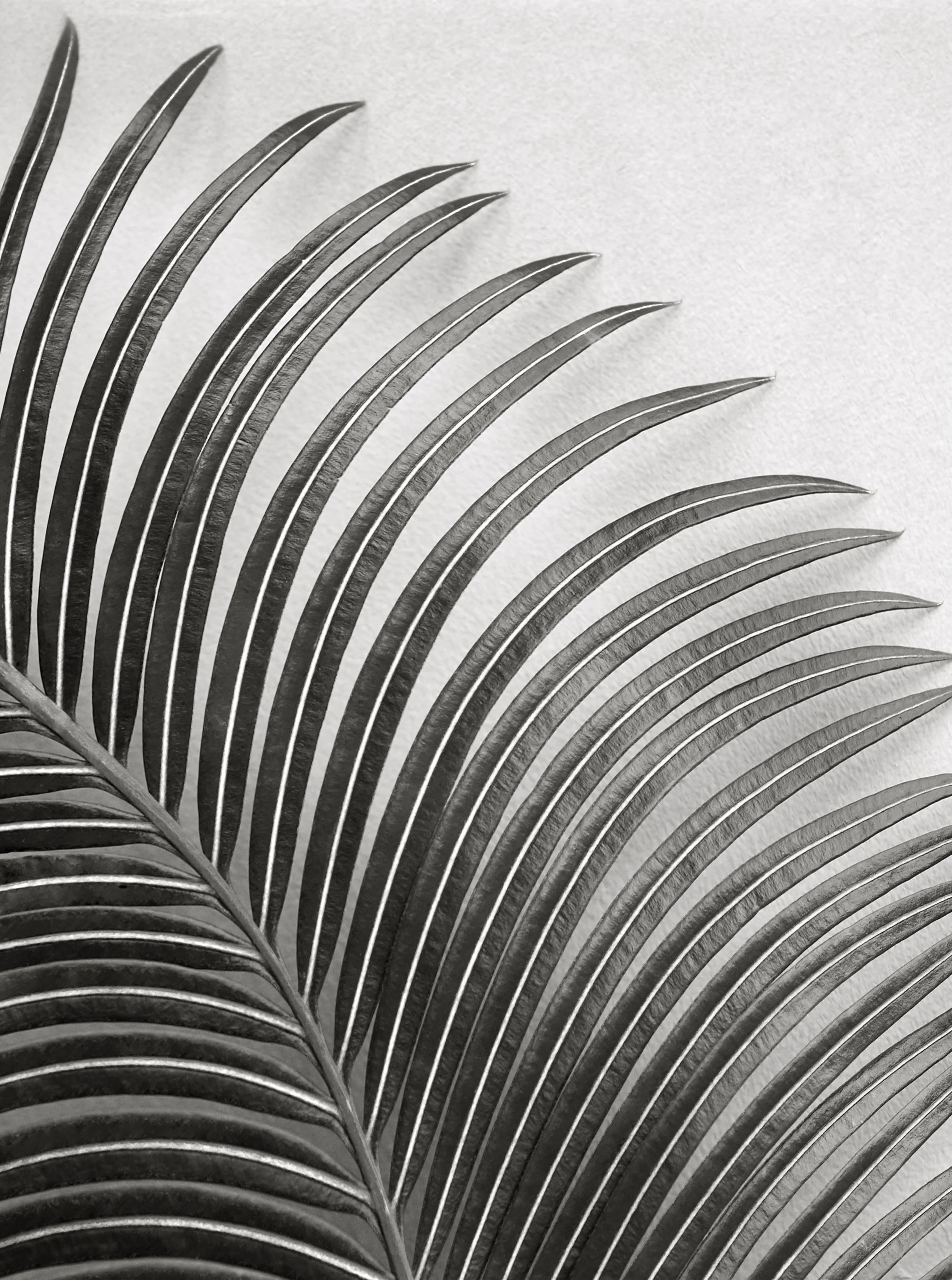 marta-hewson-nude-palm-leaf-13286-16x21.5.jpeg