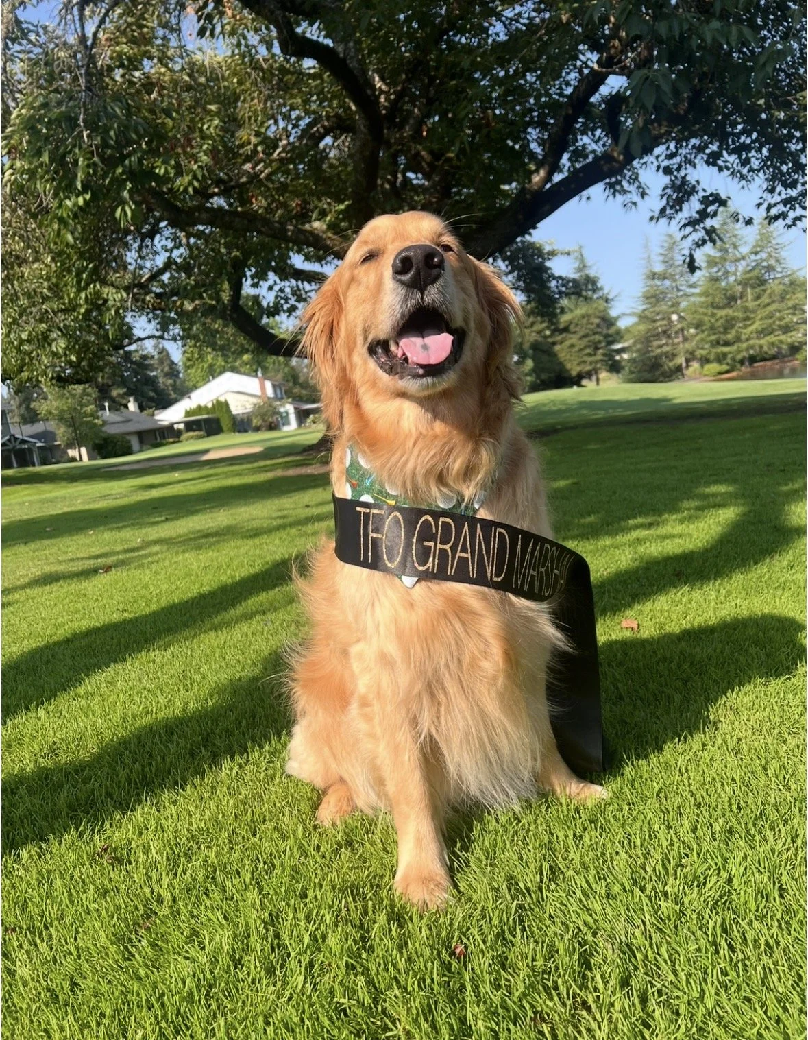 Oakley sash.jpg