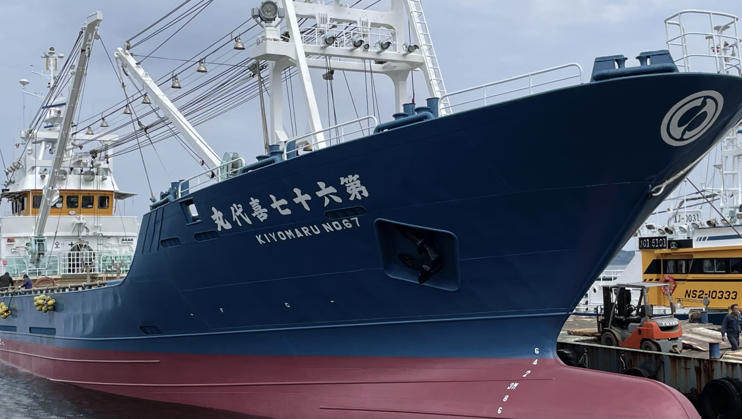   運搬船 : 第67喜代丸(383t)   捕獲した魚群を市場に届ける船 