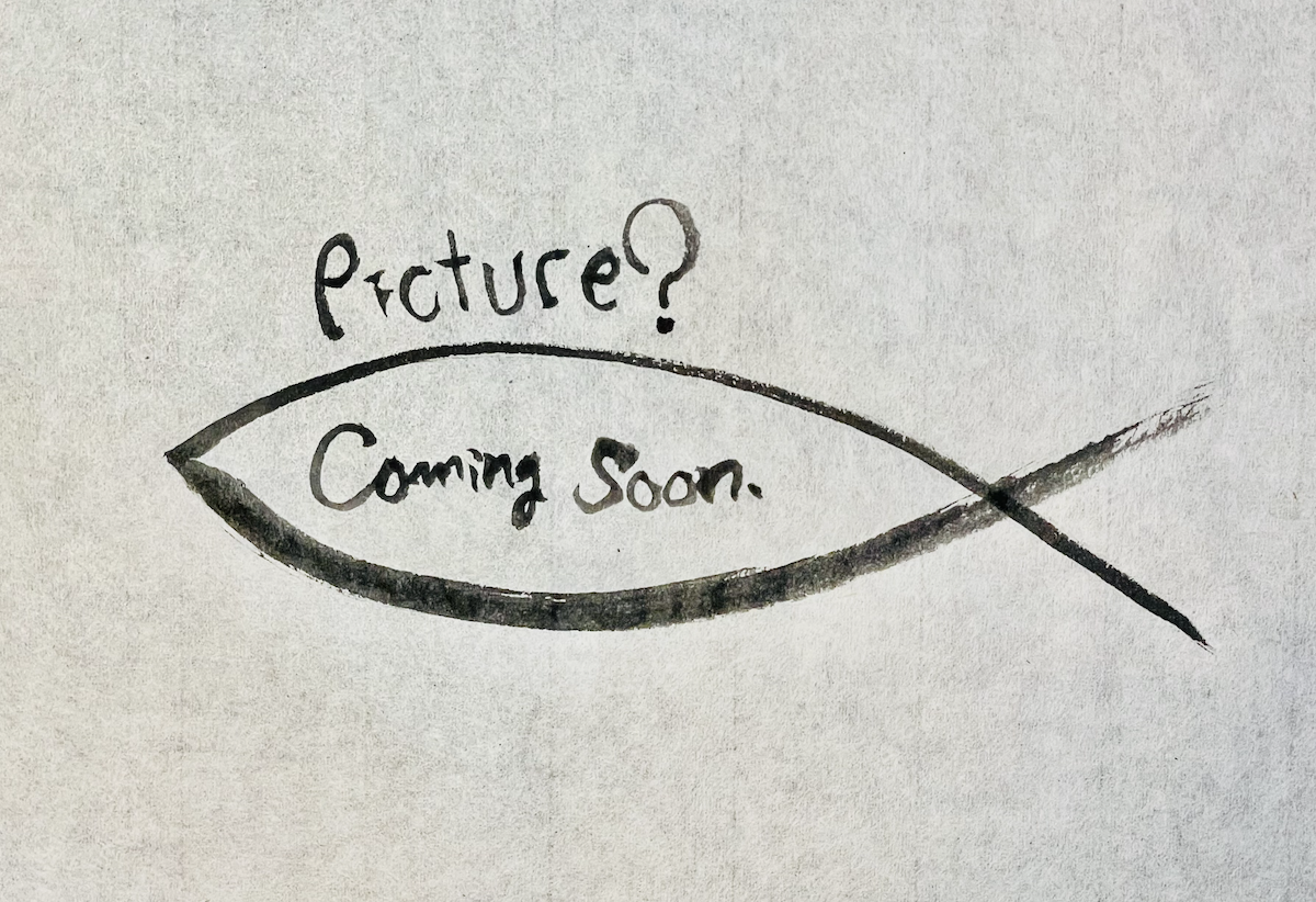 08. 潮を読む力『カンパチ』という”海の知将”に出会う。