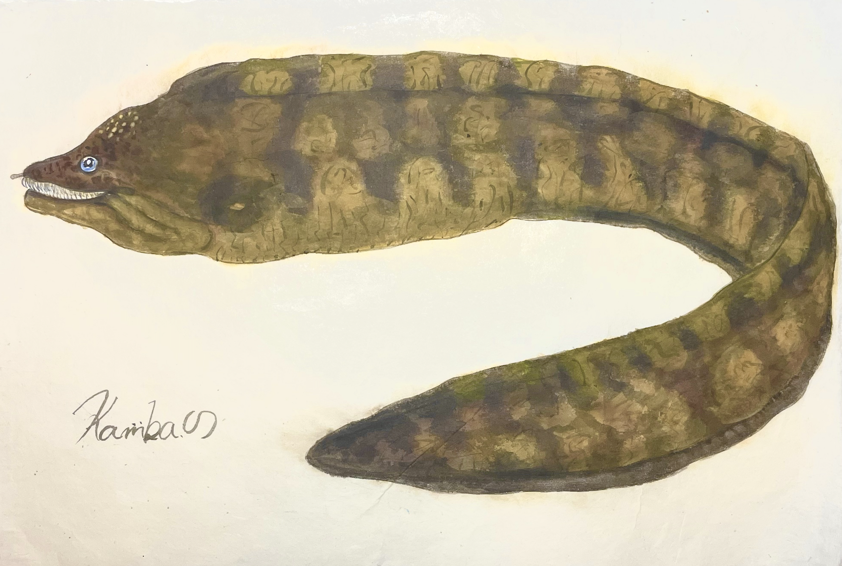 10. “闇に棲む歯列”『ウツボ』という岩場の番人