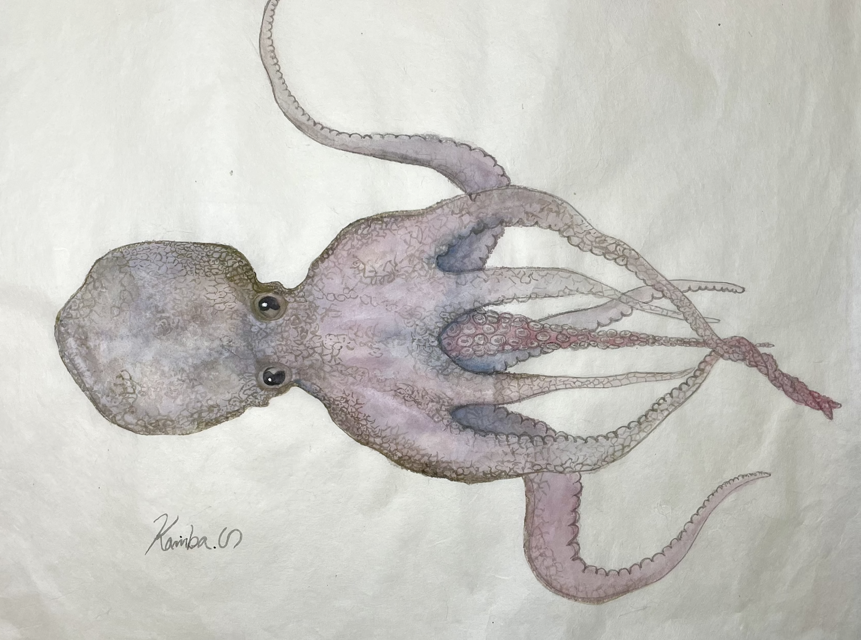 20. “無数の腕に分かれた脳”『マダコ』という愛に執着する知性