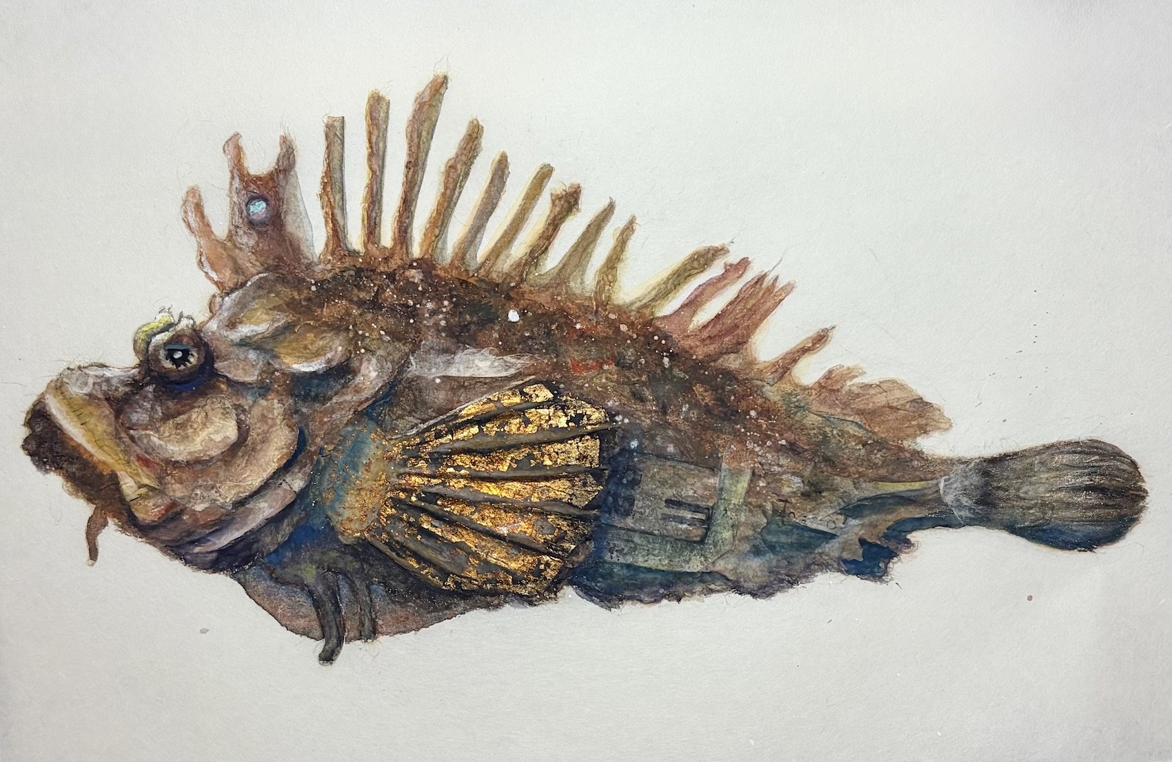 68. 激レア『オニオコゼ』は海の地雷!? 醜い、危険、でも旨すぎる白身魚の魅力