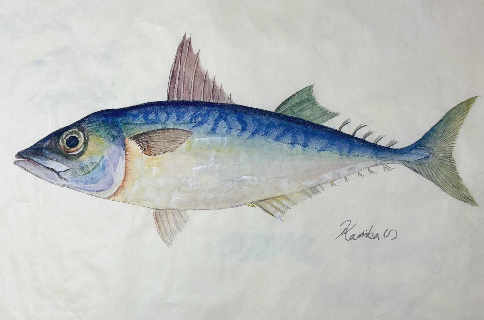 21. “日常食卓の定番” 『マサバ』は、集団で生きる静かな主役