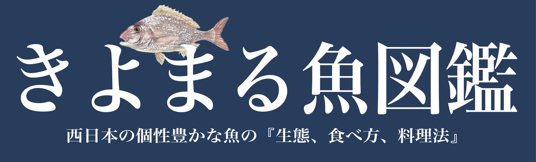 きよまる魚図鑑 — 喜代丸｜株式会社伊藤商店