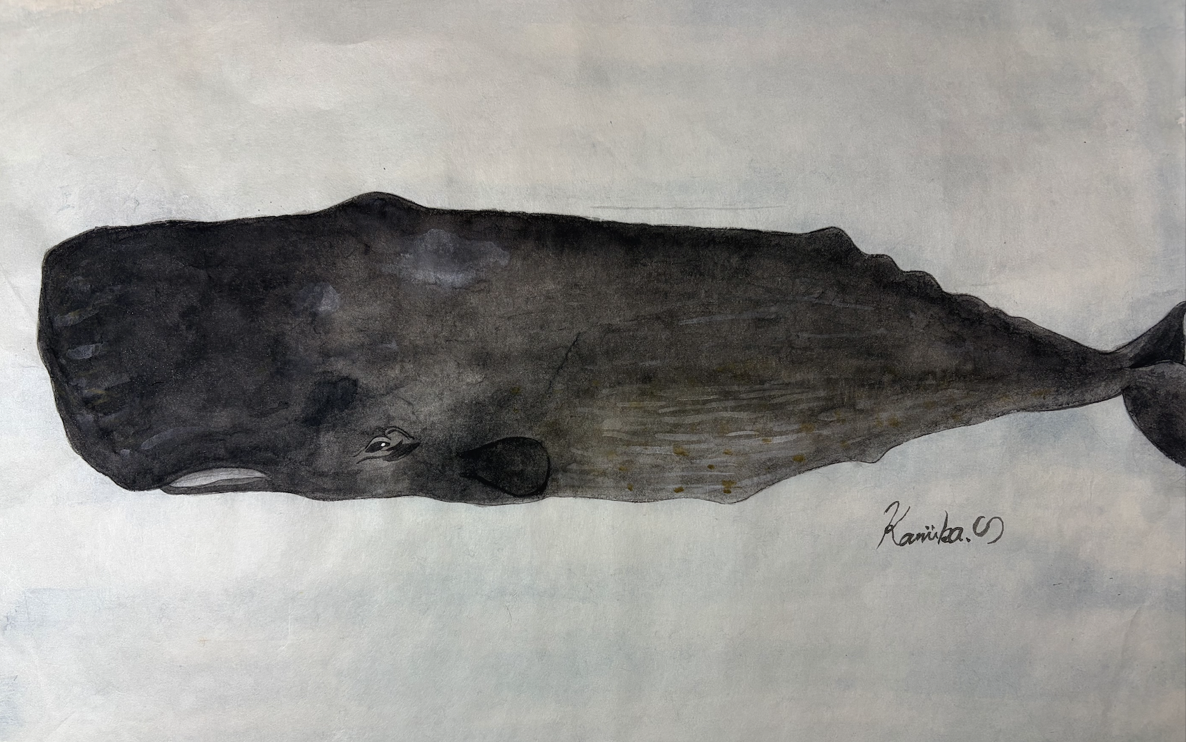 25.“深海はブルーオーシャン”『マッコウクジラ』深淵へ降りる孤高の知性