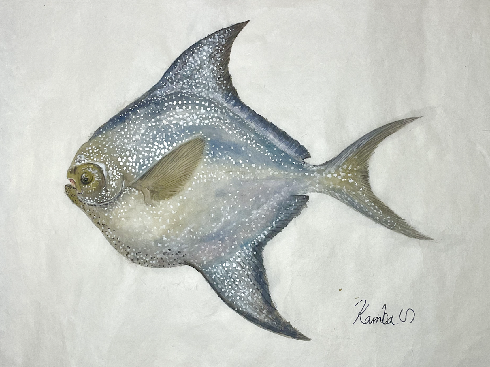 16. 通は知る! 『マナガツオ』という”静かな格式”