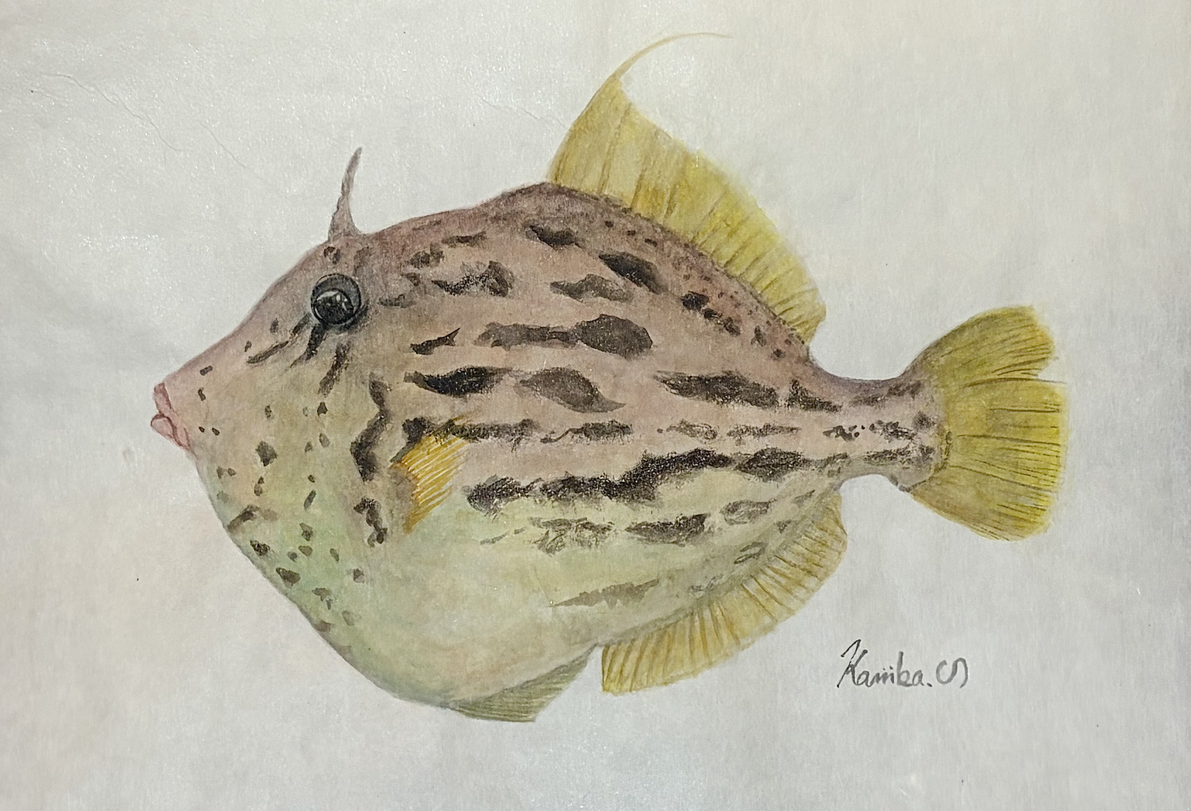 31. “冬の滋味” 『カワハギ』の硬い外皮と深い内奥