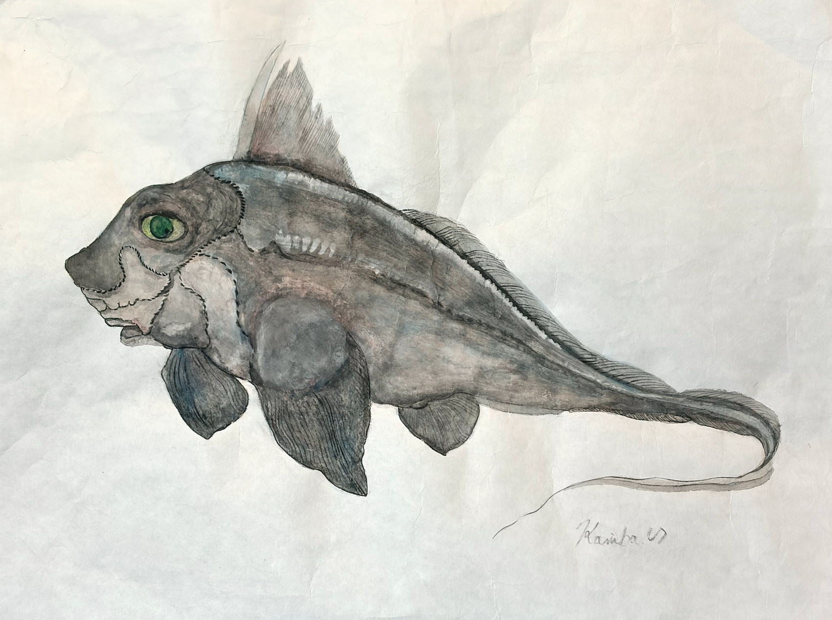 33. “深層に息づく銀”『ギンザメ』という原始的な魚