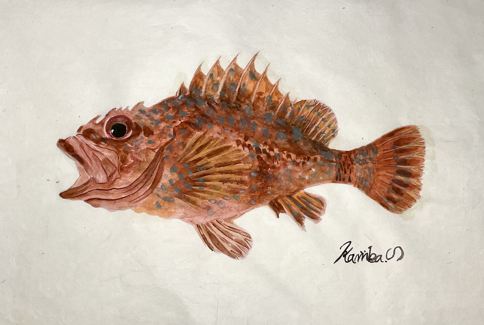 13. “静かなる棘” 『カサゴ』という岩礁の守り手