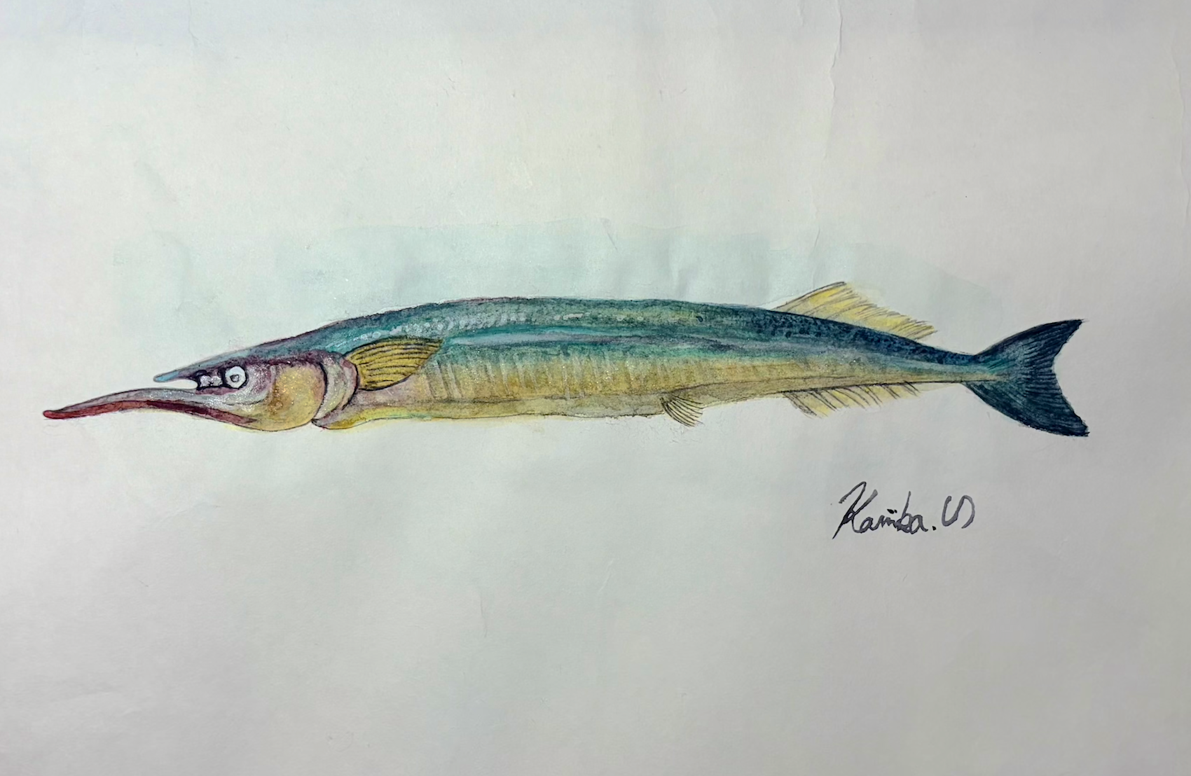 27. “目立つことを選んだ!?”『サヨリ』の表層哲学