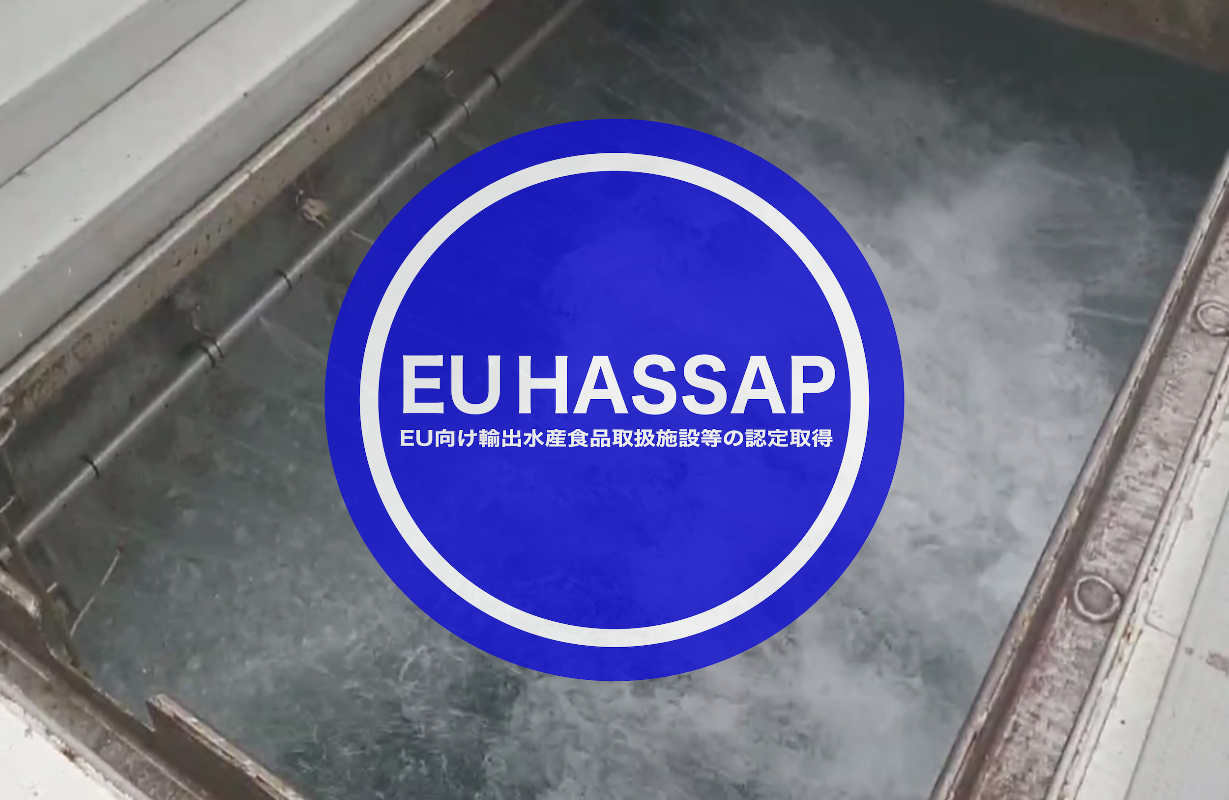 喜代丸が取得したEUヨーロッパ向け輸出水産食品取扱施設等の認定資格『EU HASSAP』