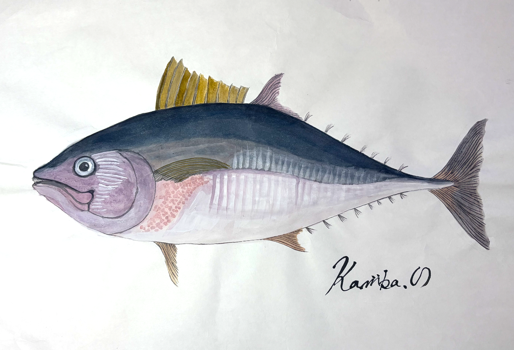 クロマグロの姿