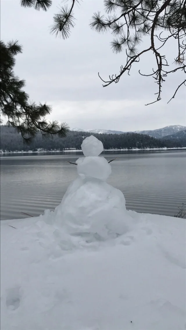 The First Winter Snow