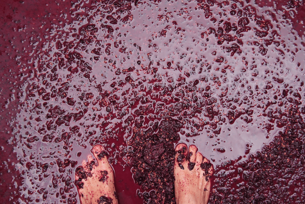 Supply River Mill Vineyard