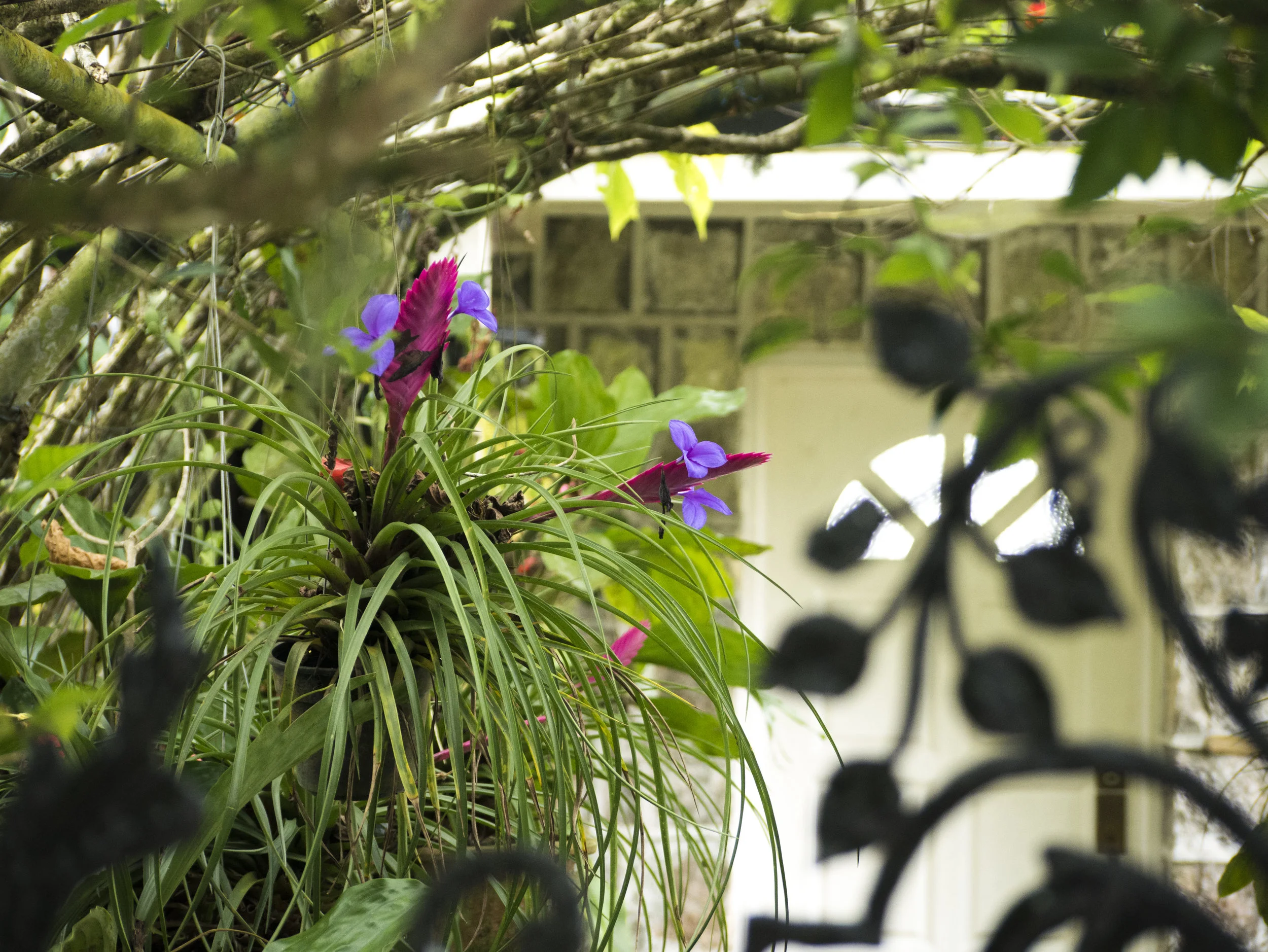 2018_08_Penang Weekender-5.jpg