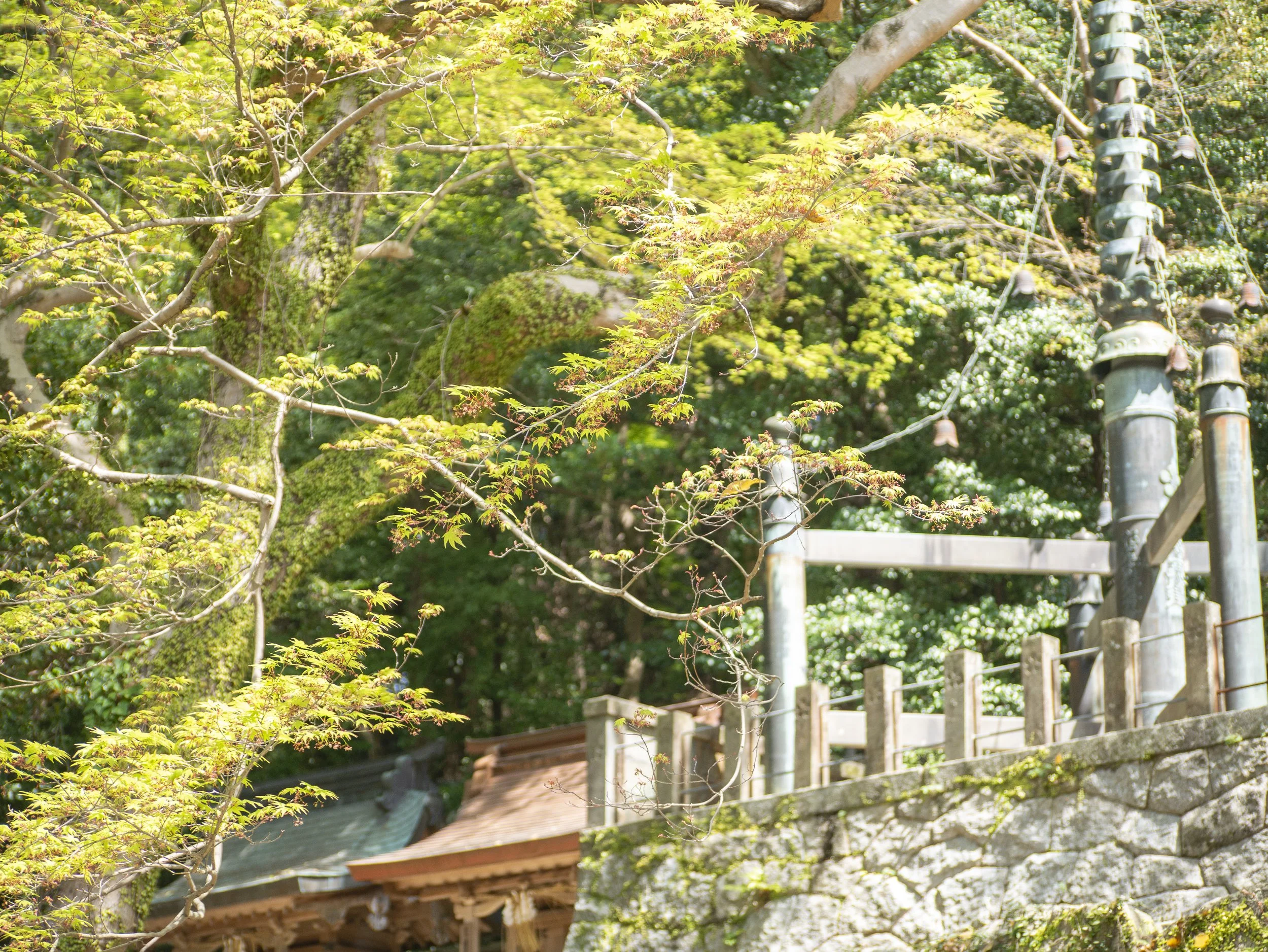 2023-04-Kyushu-Island-Japan (2 of 94).jpg