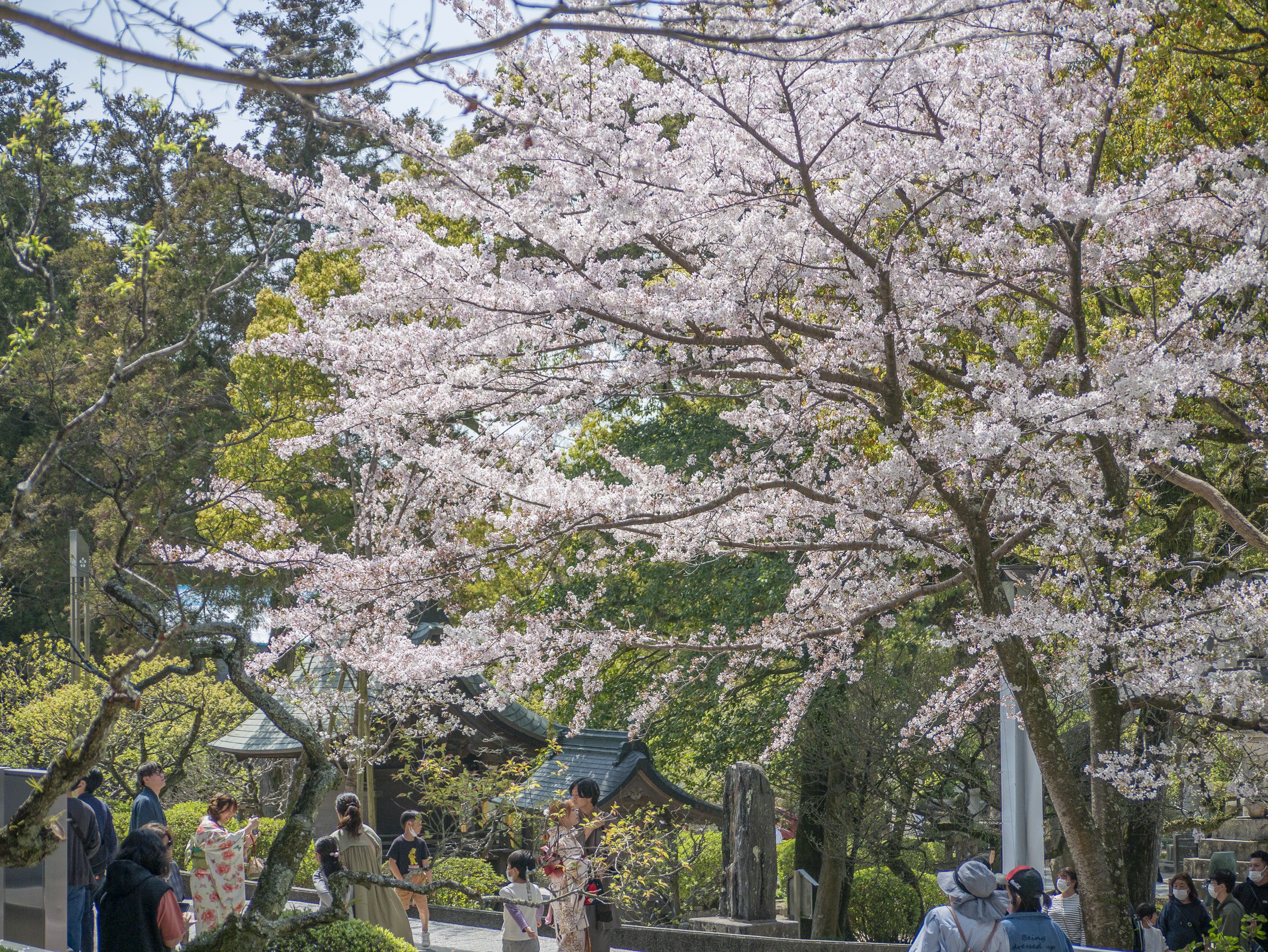 2023-04-Kyushu-Island-Japan (15 of 94).jpg