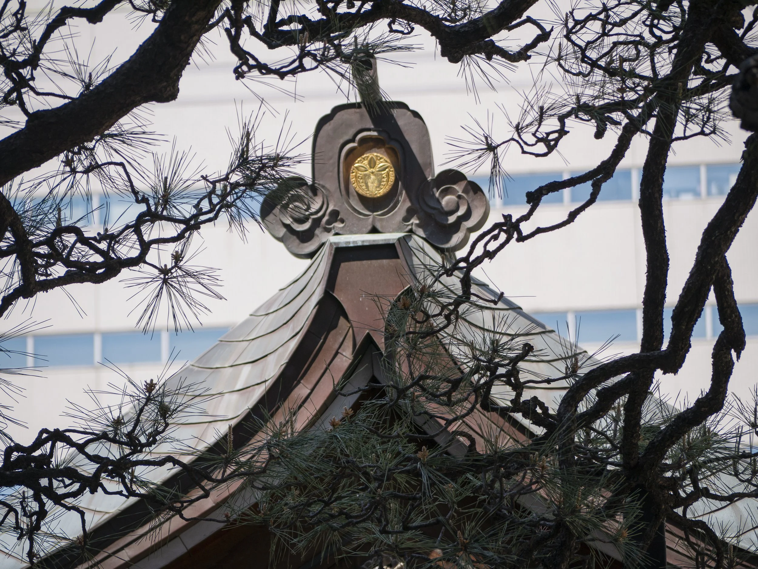 2023-04-Kyushu-Island-Japan (47 of 94).jpg