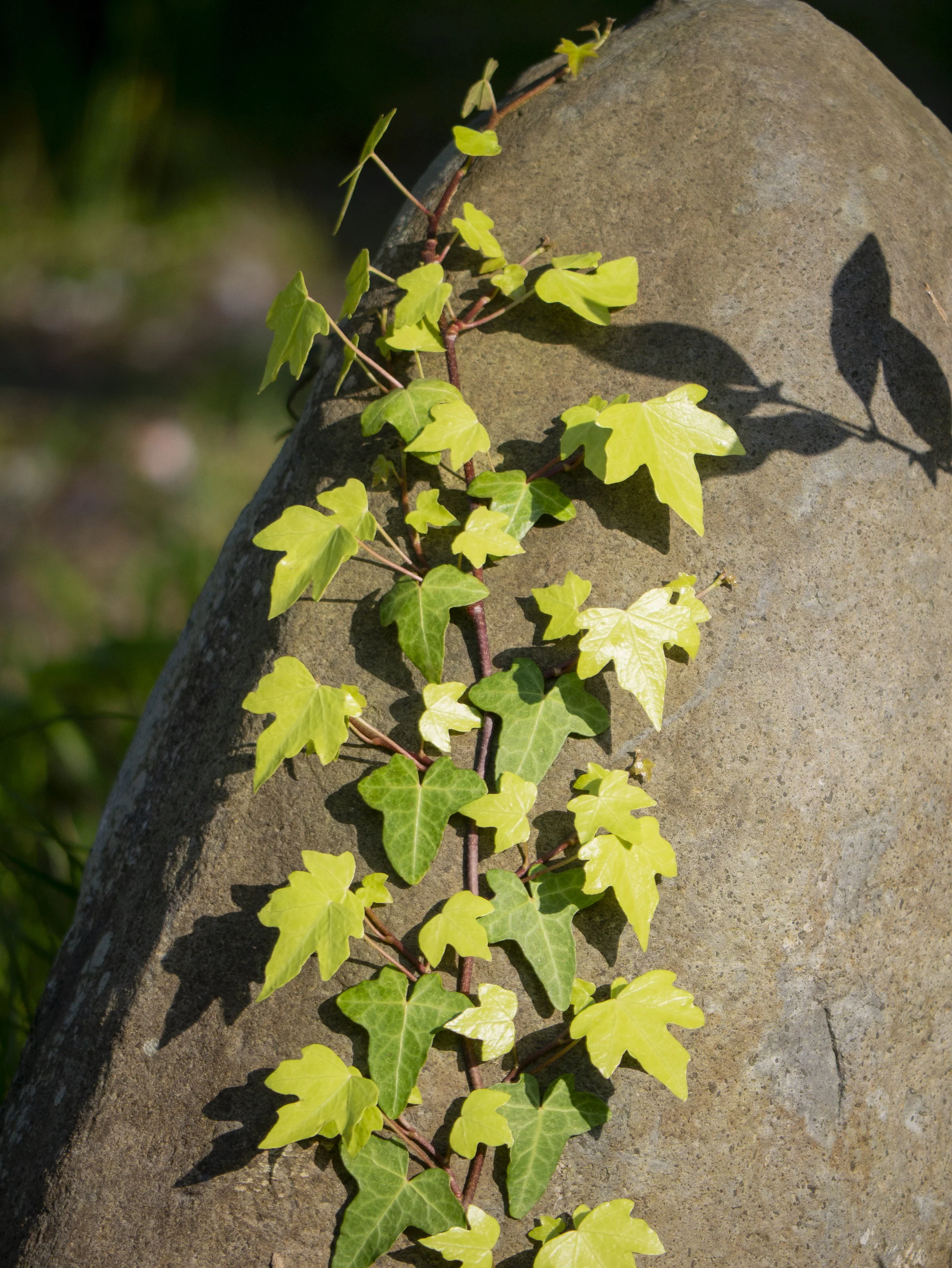 2023-04-Kyushu-Island-Japan (84 of 94).jpg