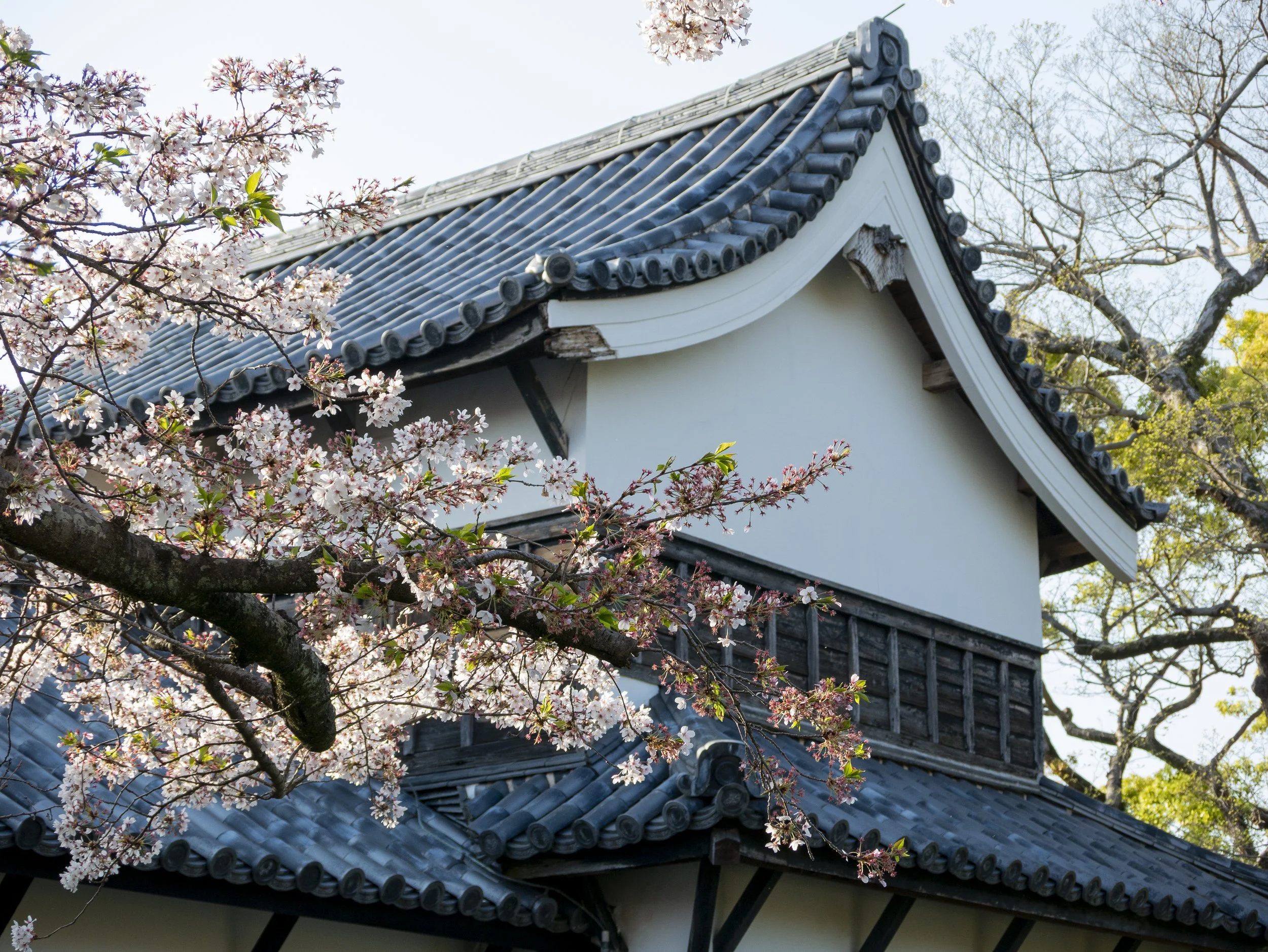 2023-04-Kyushu-Island-Japan (88 of 94).jpg