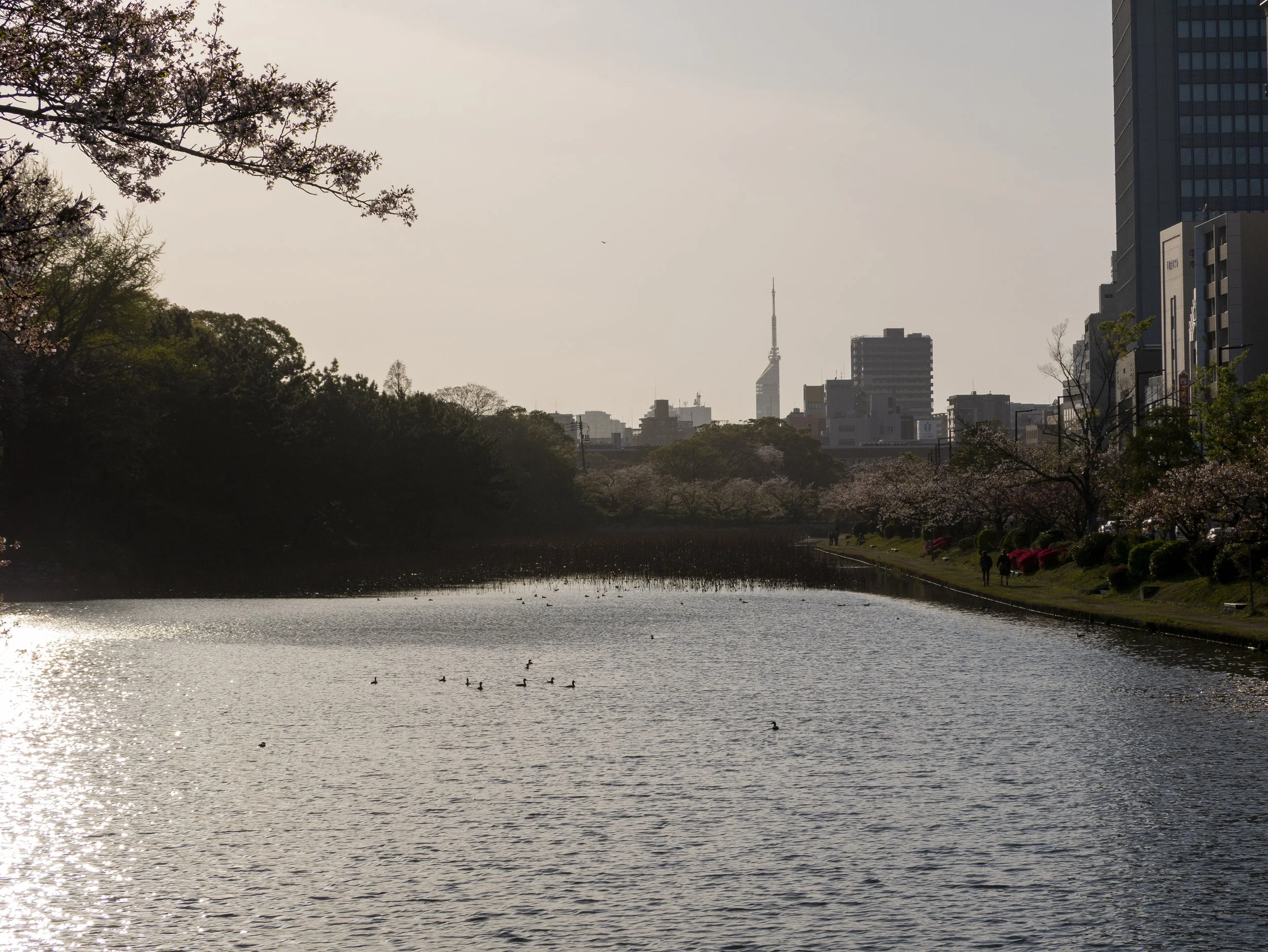 2023-04-Kyushu-Island-Japan (90 of 94).jpg