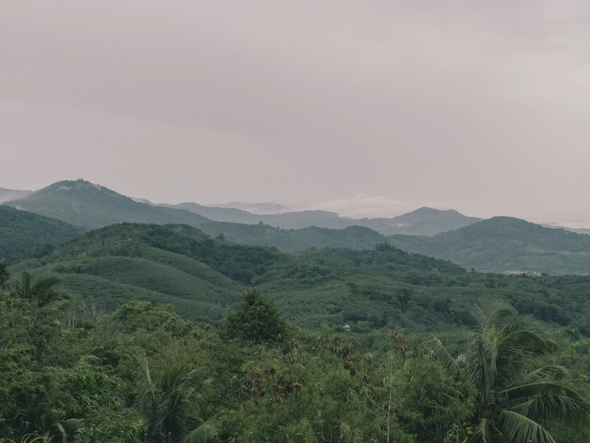 2024-03-Chiang-Rai-Thailand (8 of 85).jpg