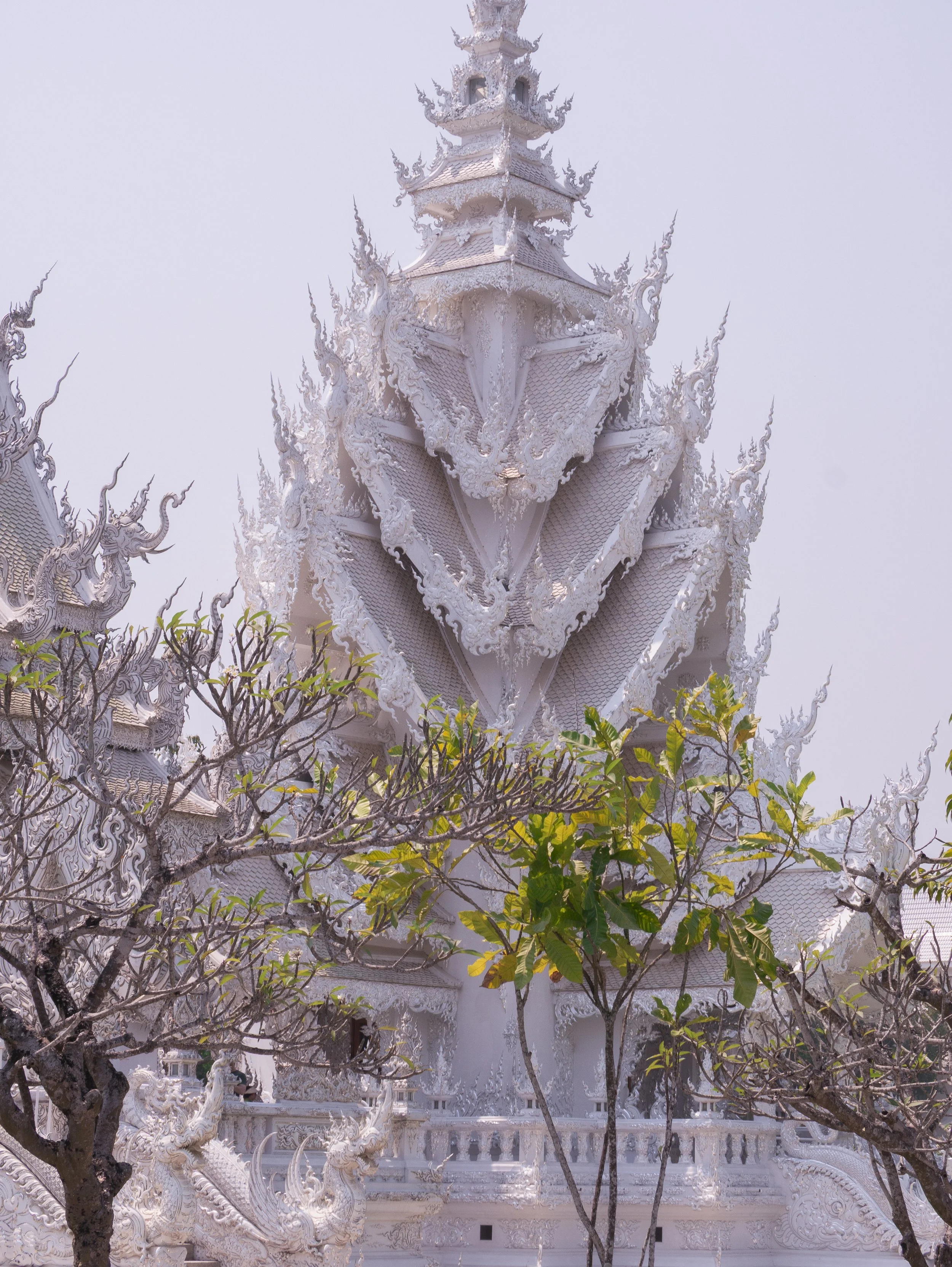 2024-03-Chiang-Rai-Thailand (85 of 85).jpg