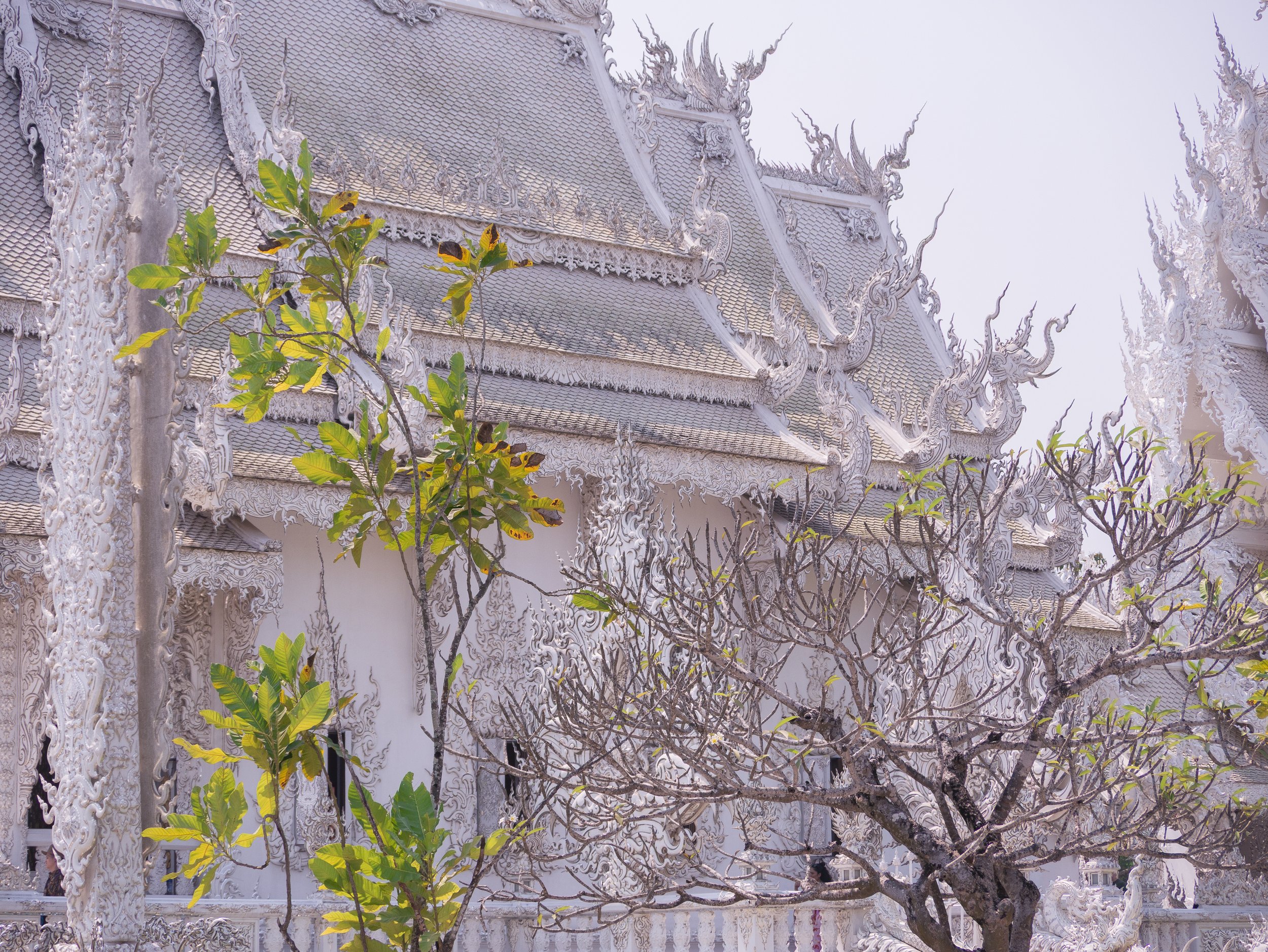 2024-03-Chiang-Rai-Thailand (84 of 85).jpg