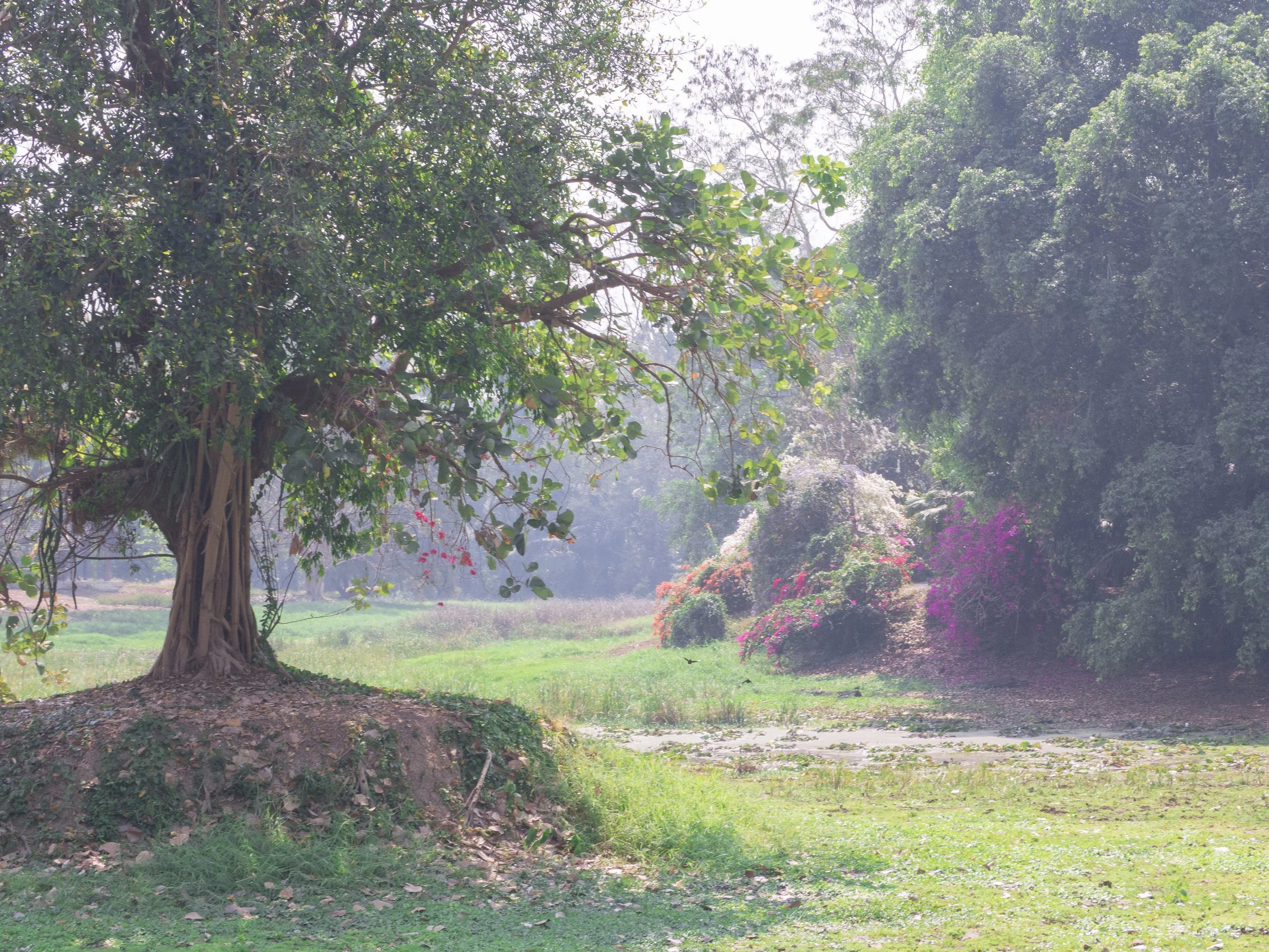 2024-03-Chiang-Rai-Thailand (31 of 85).jpg