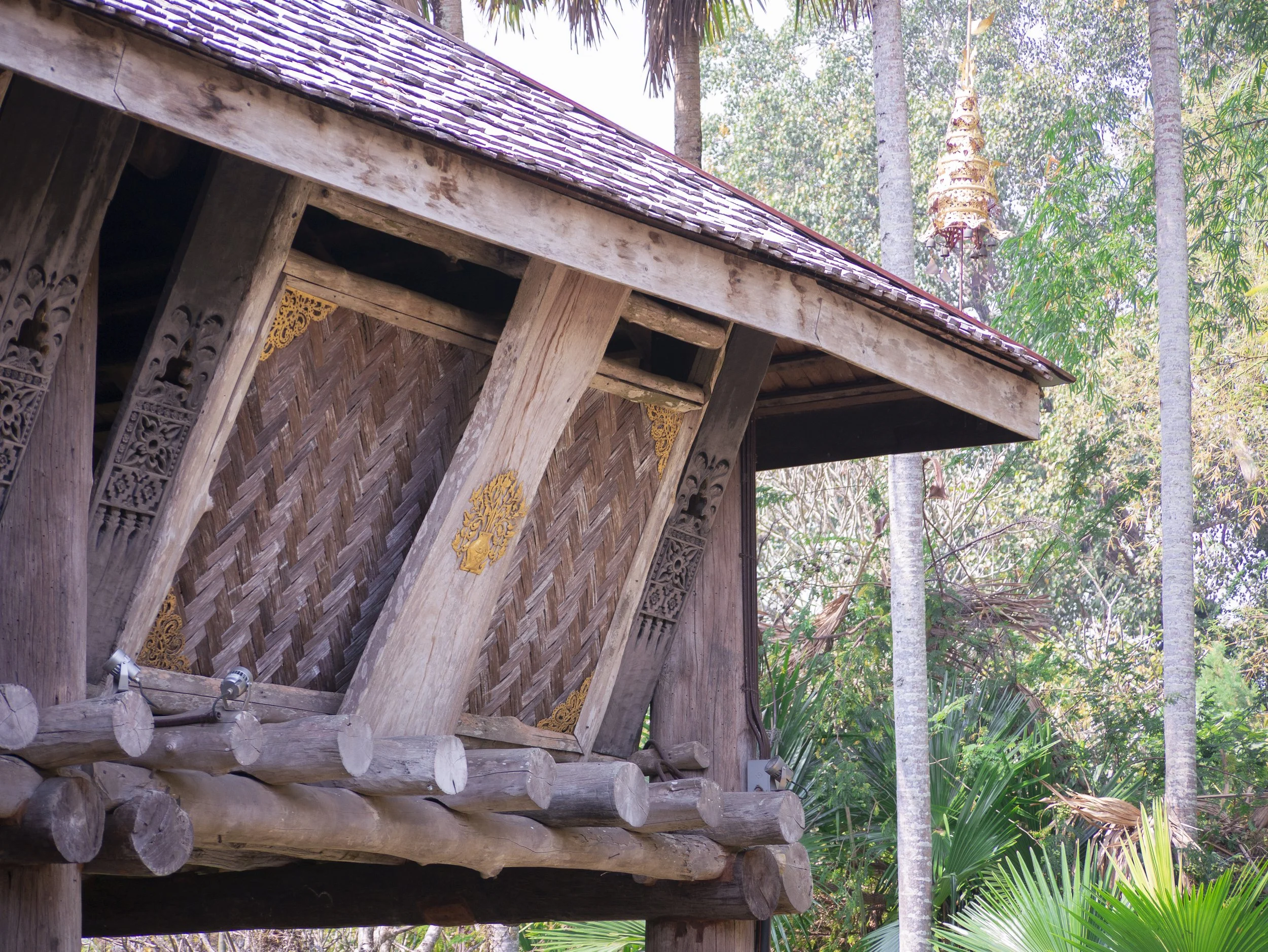 2024-03-Chiang-Rai-Thailand (33 of 85).jpg