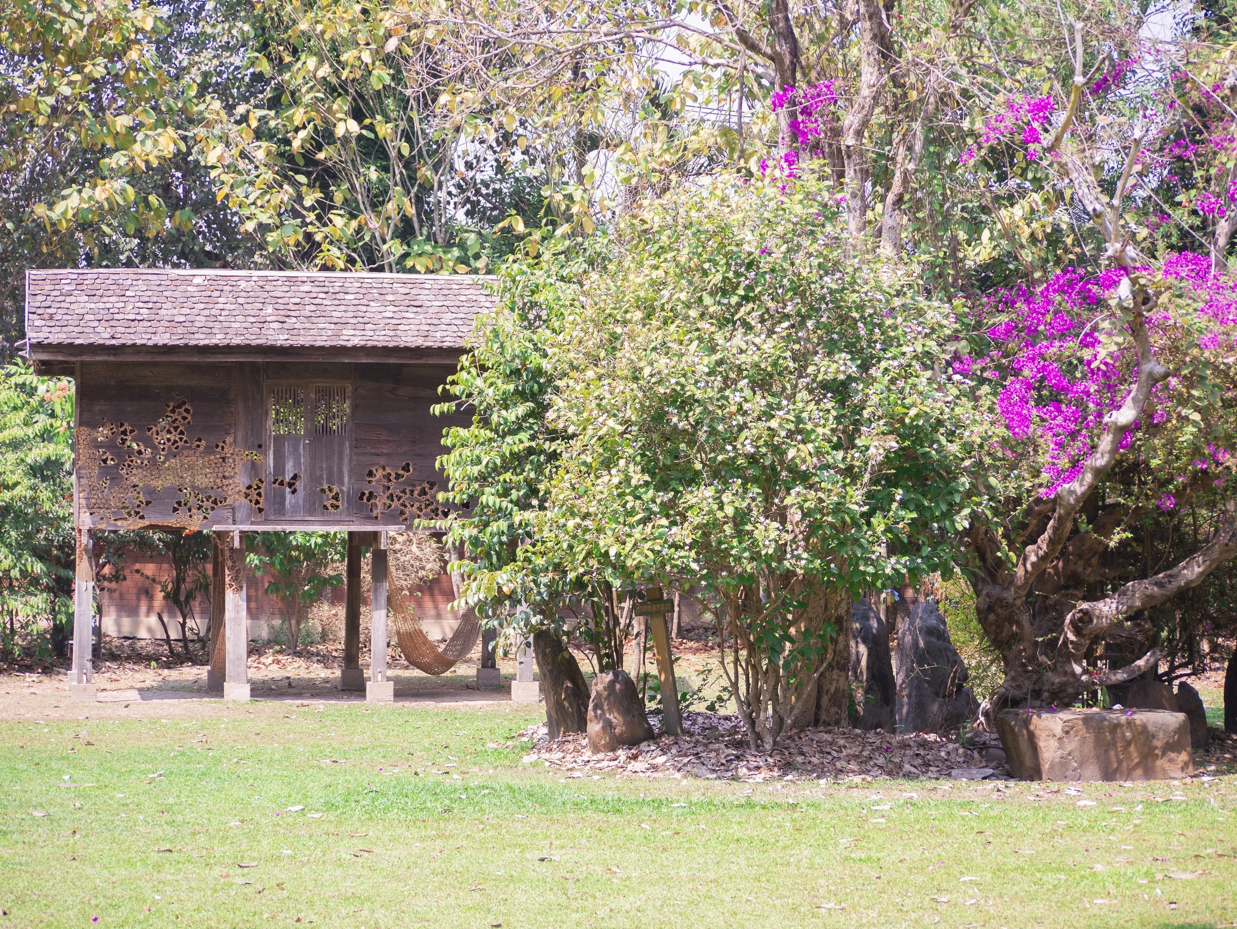 2024-03-Chiang-Rai-Thailand (49 of 85).jpg