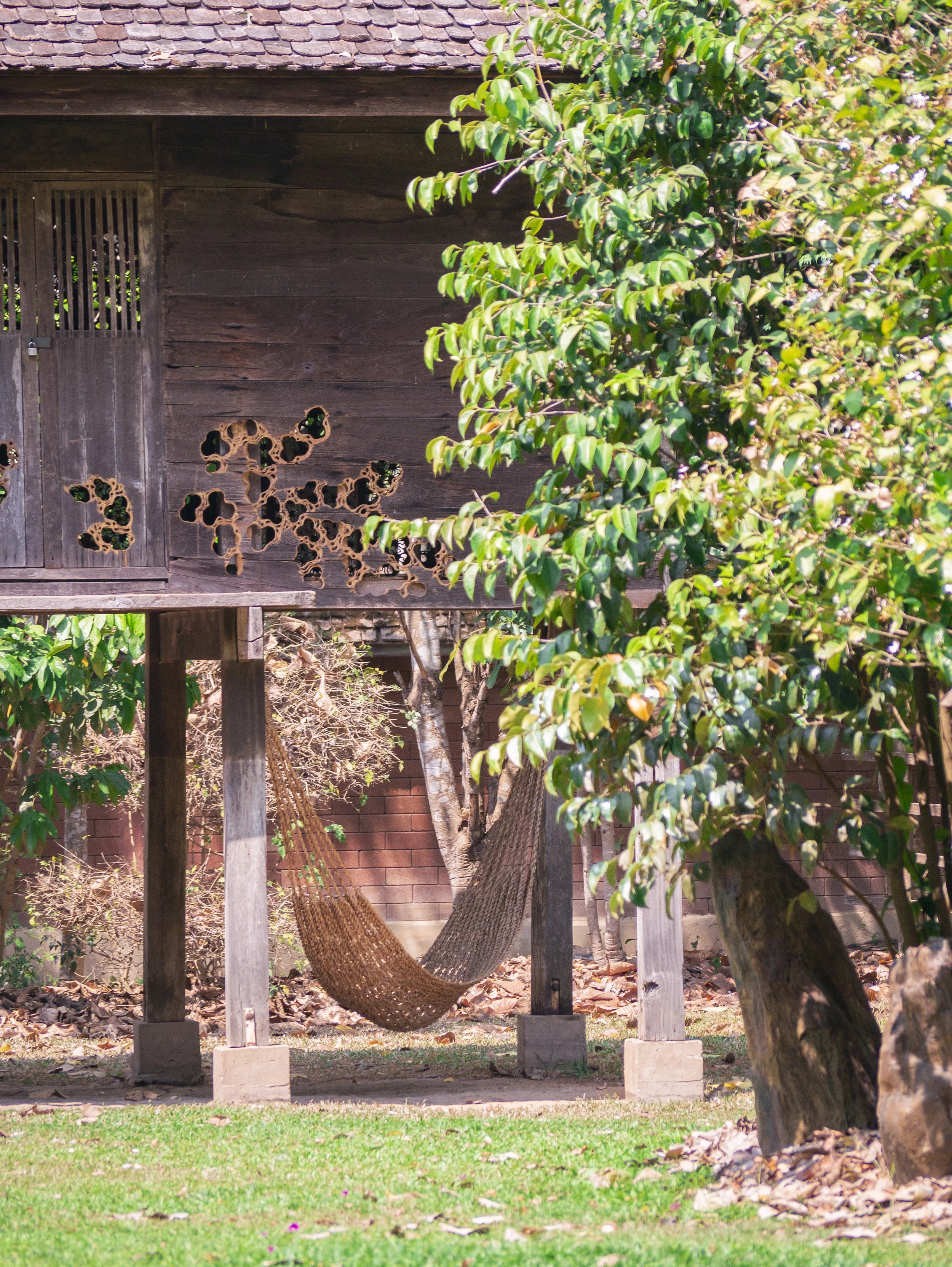 2024-03-Chiang-Rai-Thailand (50 of 85).jpg