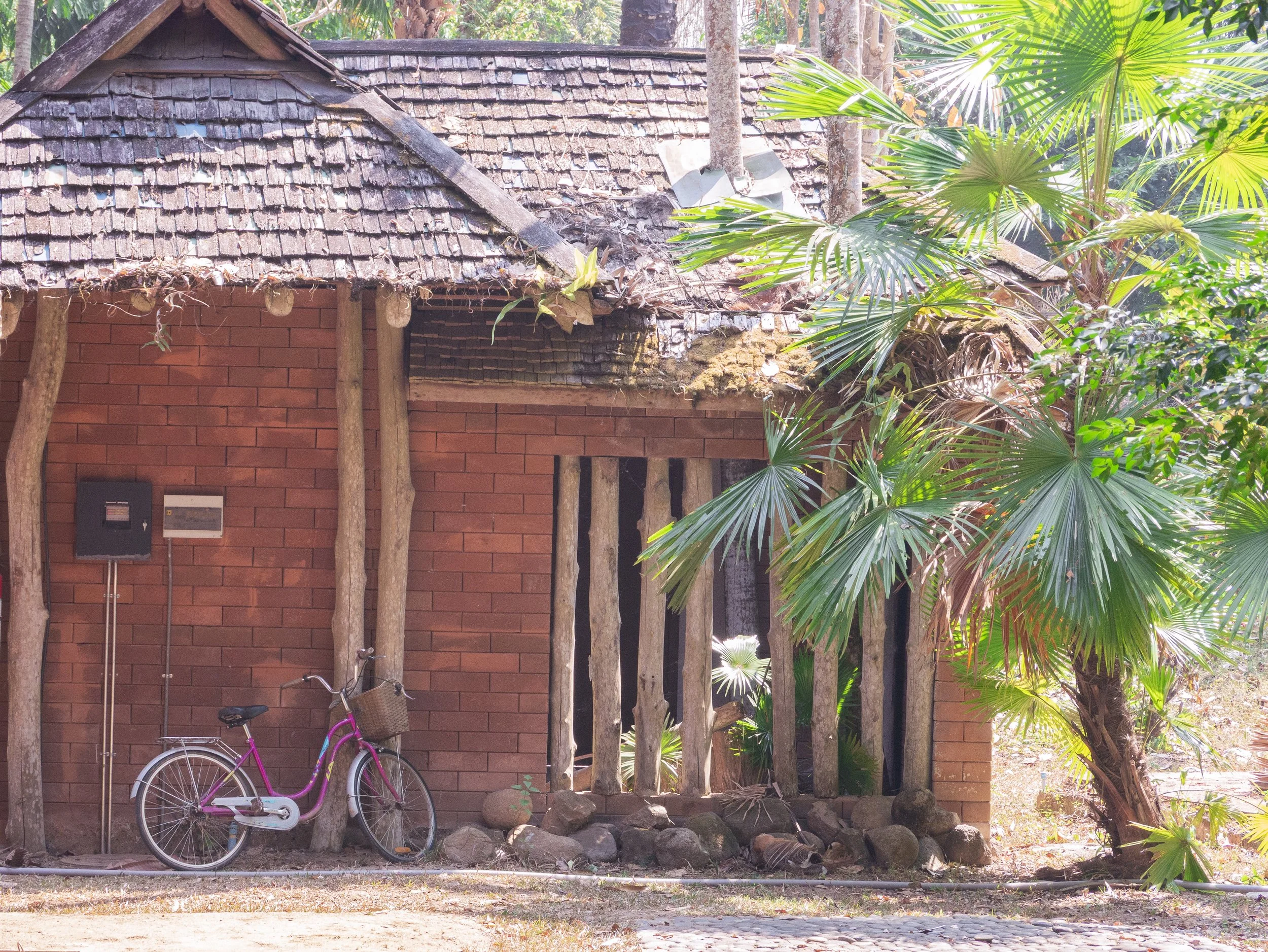 2024-03-Chiang-Rai-Thailand (57 of 85).jpg